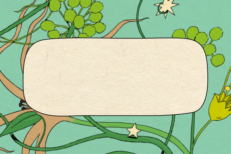 fond blanc avec des boîtes-cadeaux brunes et ruban vert foncé 