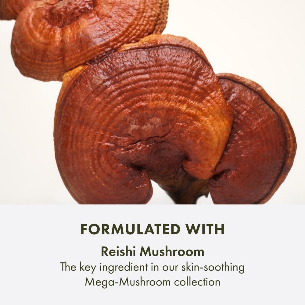 Nettoyant pour le visage apaisant Mega-Mushroom Dr. Andrew Weil for Origins™, 150 ml
