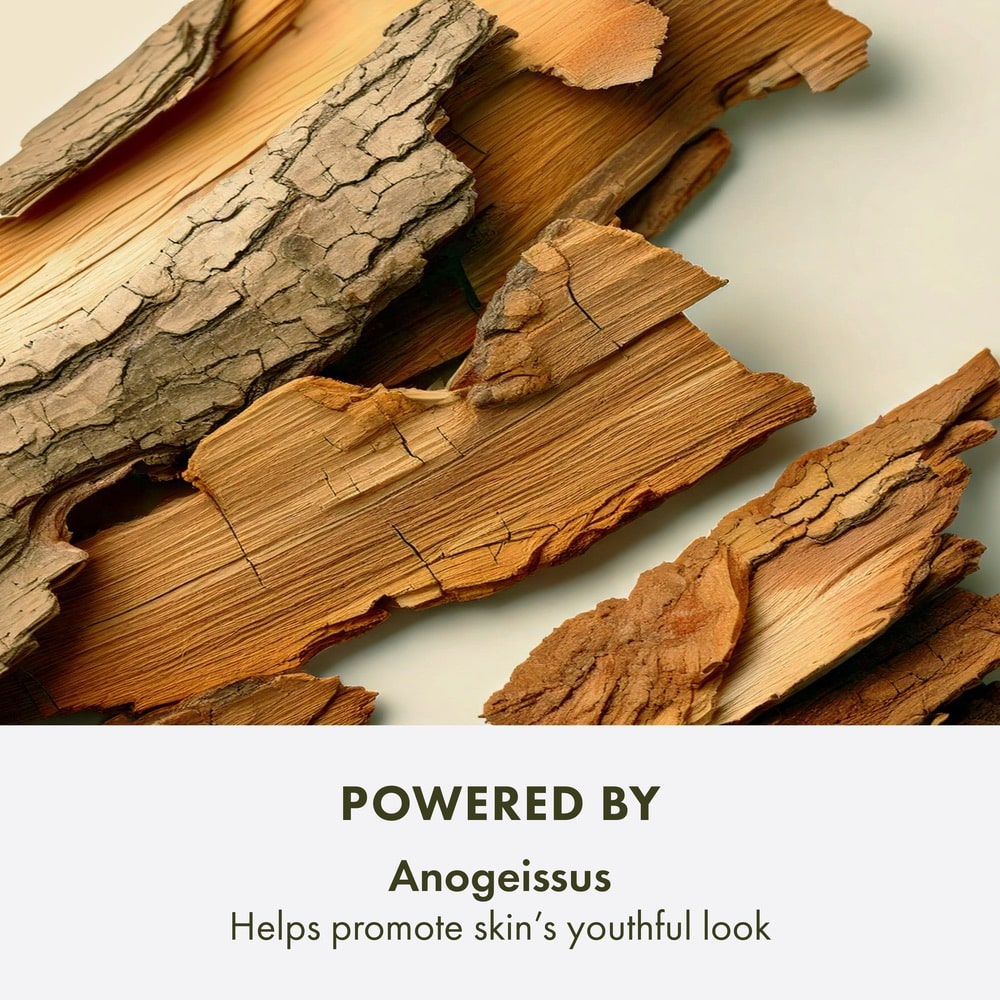 Crème de nuit antivieillissement puissante Plantscription™, 50 ml