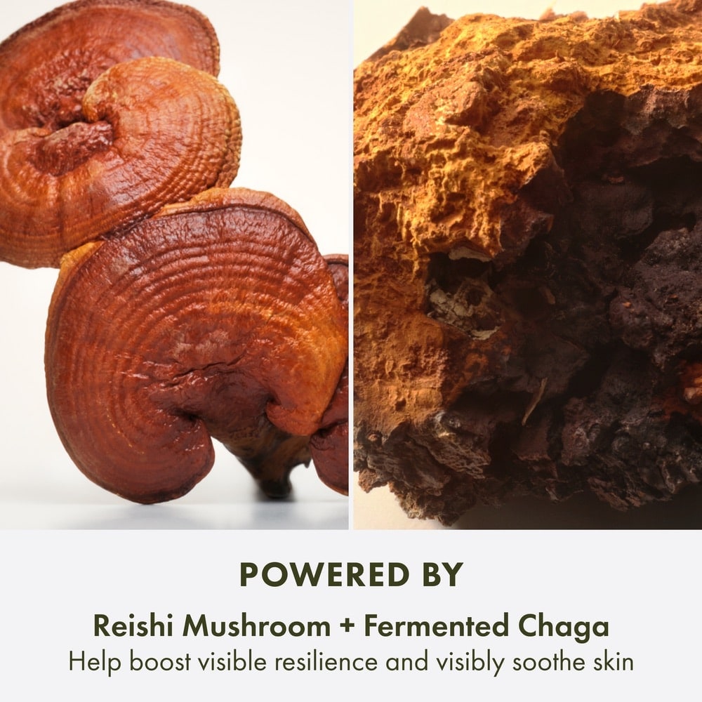 Lotion gel Mega-Mushroom Relief & Resilience Hydra Burst Dr. Andrew Weil for Origins™, 50 ml