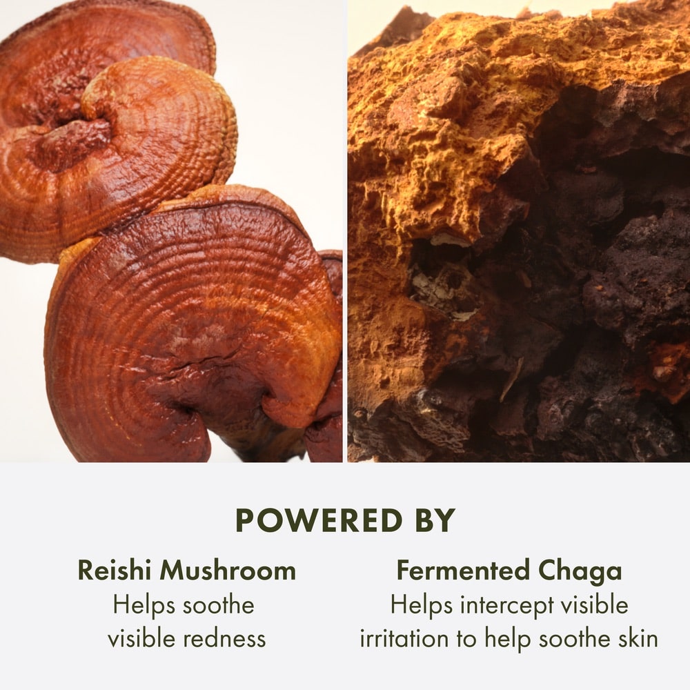 Sérum pour le visage avancé Mega-Mushroom Relief & Resilience Dr. Andrew Weil for Origins™, 50 ml