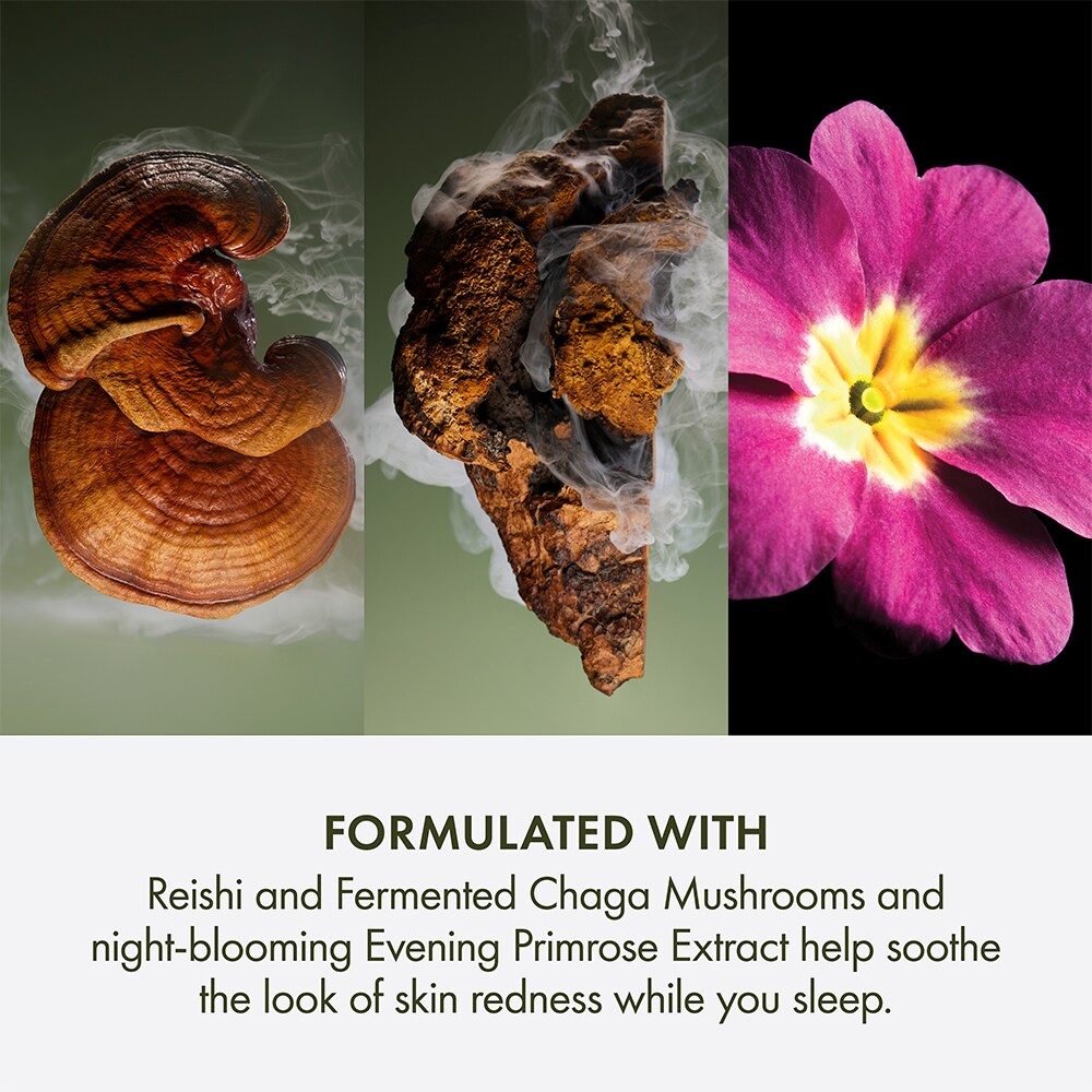 Mega-Mushroom Dr.Weil For Origins™ 