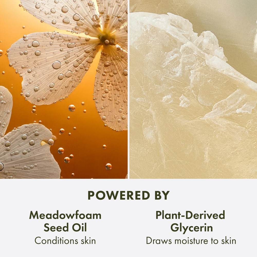 Light Rose™ en édition limitée